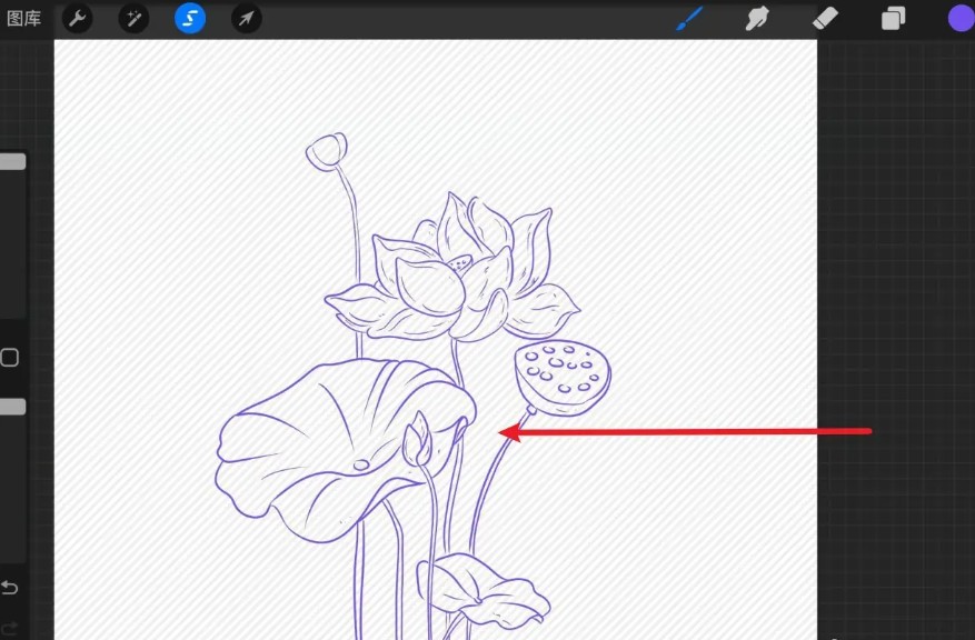 procreate安卓版