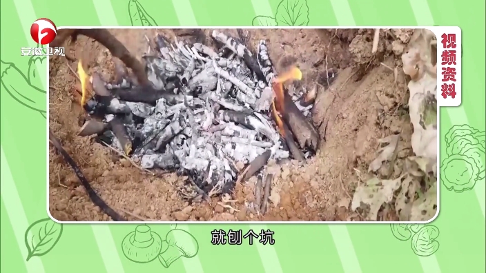 电视家永久免费版