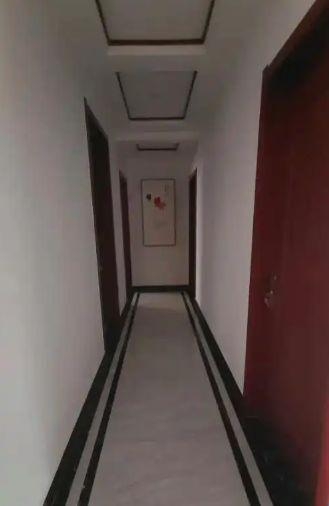 VIVO相机