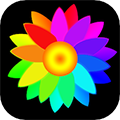 魔术画画app旧版本下载 v1.8.0.3