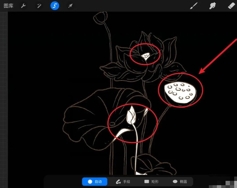 procreate安卓版