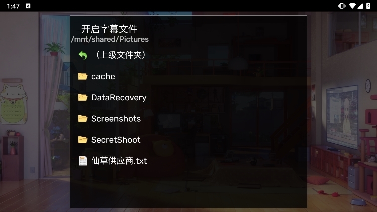 MX播放器专业版