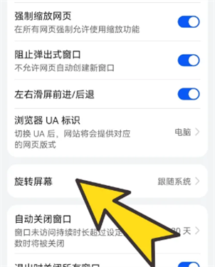 啵啵浏览器无国界