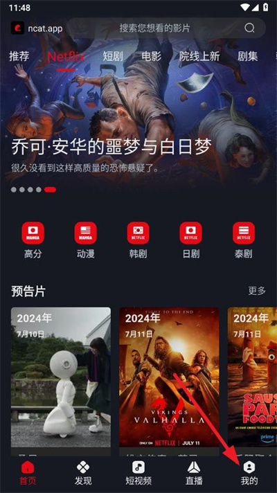 网飞猫