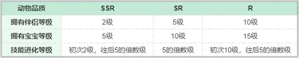 梦幻的城